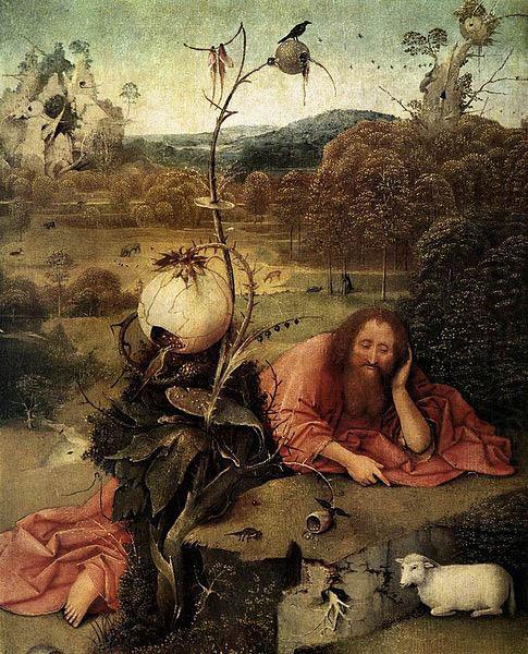 Hieronymus Bosch Saint John the Baptist oil painting picture